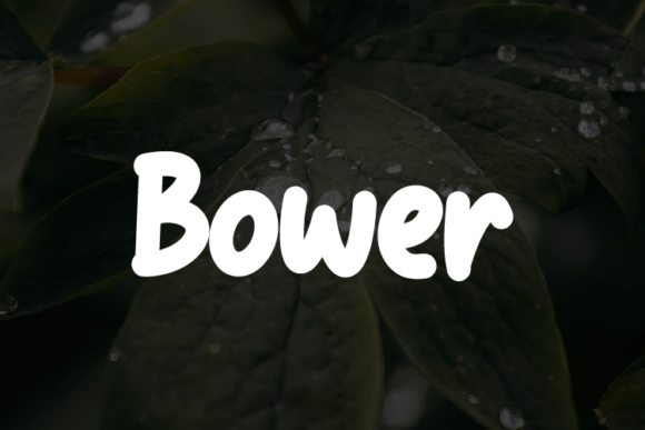 Bower Typeface for Elegant Brand Identity