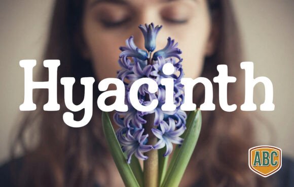 Hyacinth: A Timeless Handwritten Font for Branding